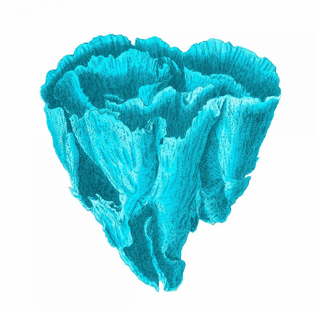 Wall Art Painting id:106980, Name: Blue Coral 6, Artist: Lewis, Sheldon