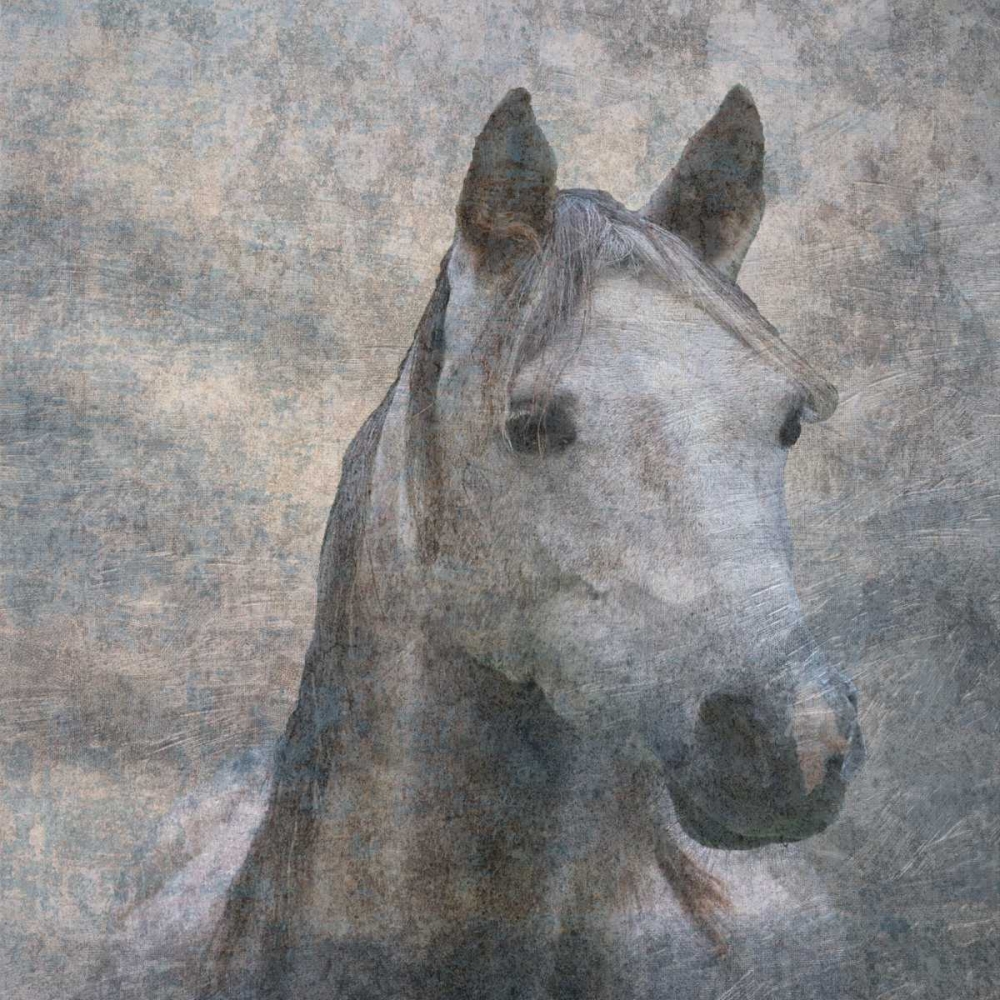 Art Print: Wild River