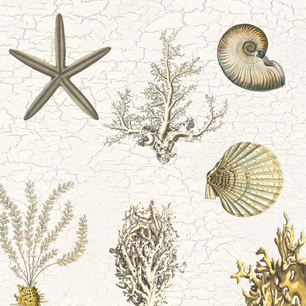 Wall Art Painting id:126029, Name: Coastal Pride, Artist: Lewis, Sheldon