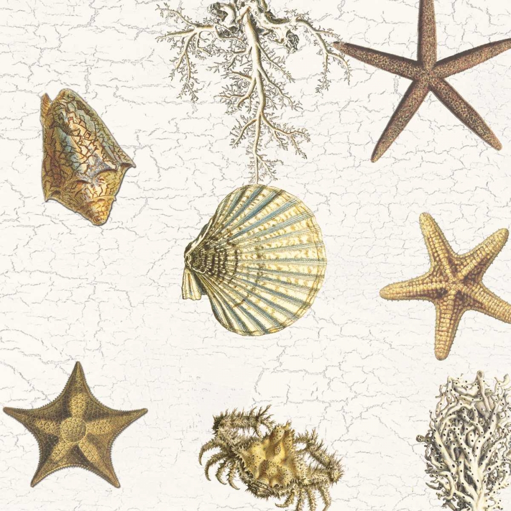 Wall Art Painting id:126030, Name: Coastal Joy, Artist: Lewis, Sheldon