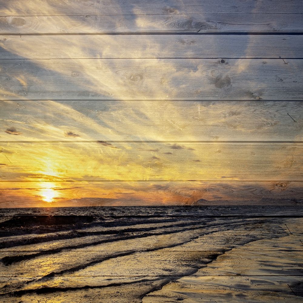 Wall art: Golden Sunset 3, by Lewis, Sheldon