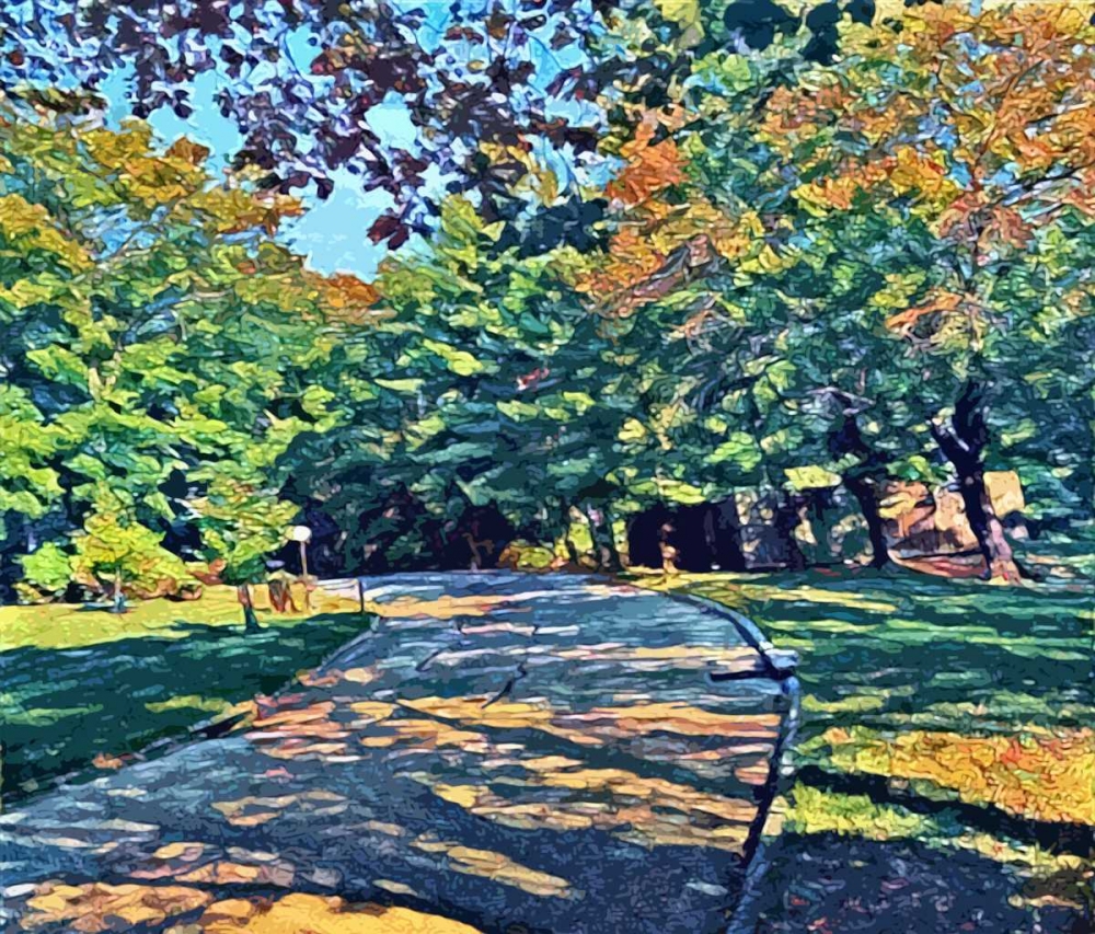 Wall Art Painting id:152850, Name: Shady View, Artist: Butcher, Sarah