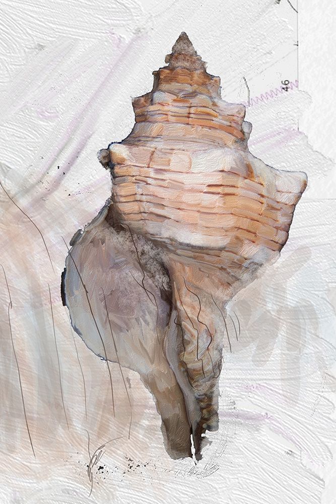 Wall Art Painting id:224994, Name: Geo Shell 2, Artist: Butcher, Sarah