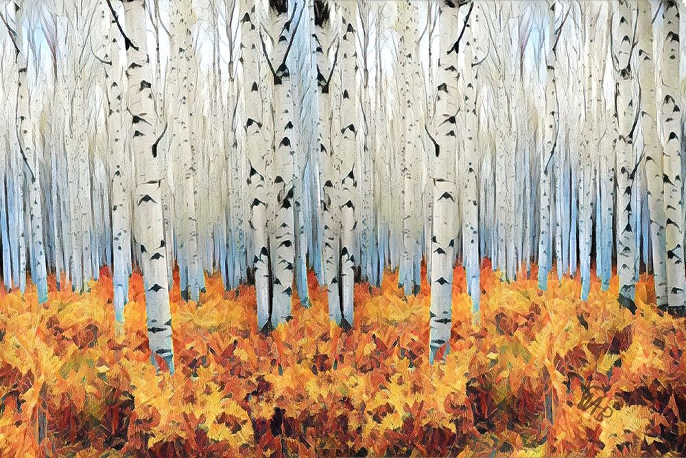 Wall art: Birch Forest, by Butcher, Sarah