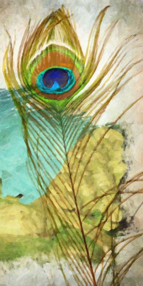 Wall Art Painting id:39348, Name: PEACOCK FEATHER 1, Artist: Greene, Taylor