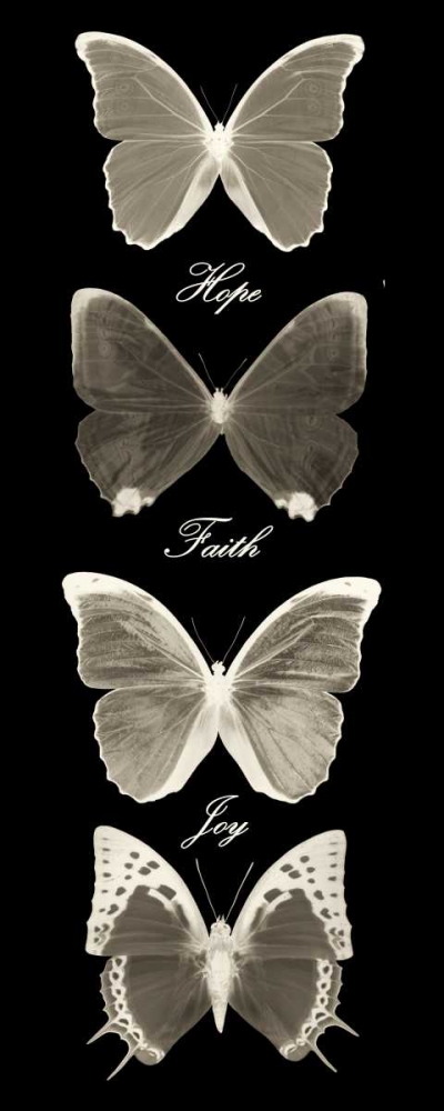 Wall Art Painting id:39381, Name: Hope Faith Joy  Butterflies 1, Artist: Greene, Taylor