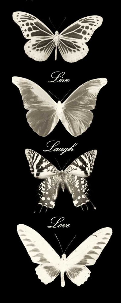 Wall Art Painting id:39380, Name: Live Laugh Love Butterflies, Artist: Greene, Taylor