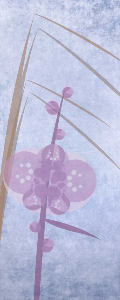 Wall Art Painting id:39435, Name: Orchids 2, Artist: Greene, Taylor