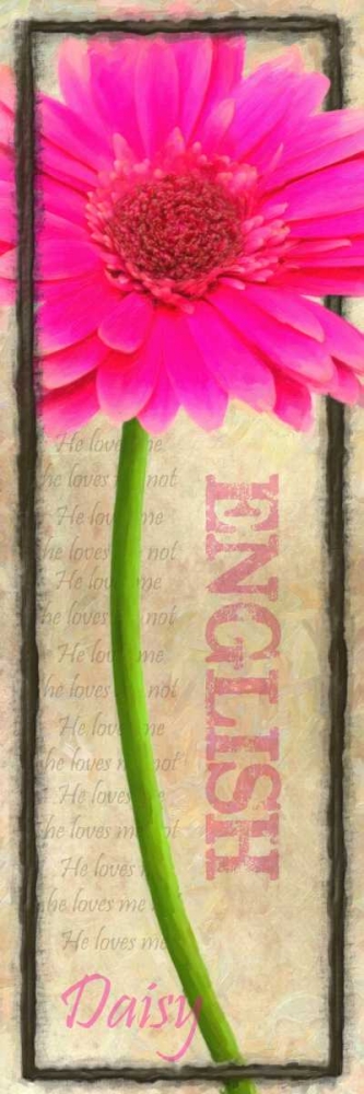 Wall Art Painting id:39564, Name: ENGLISH DAISY, Artist: Greene, Taylor