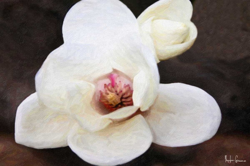 Wall Art Painting id:39746, Name: Magnolia In Bloom, Artist: Greene, Taylor