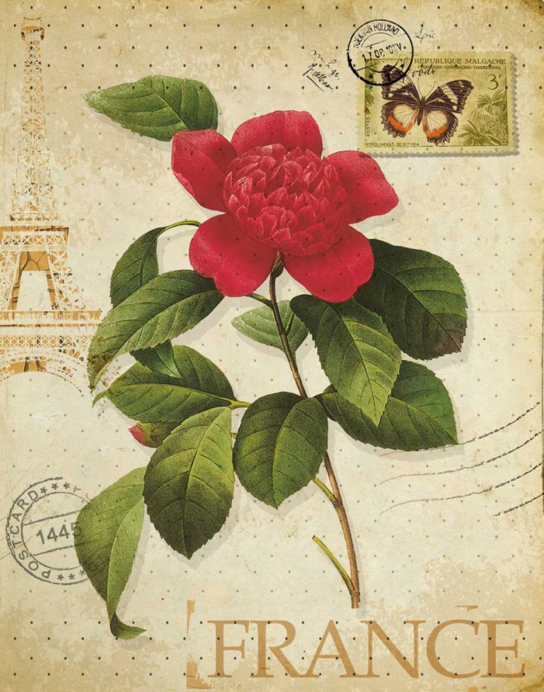 Wall Art Painting id:39749, Name: VINTAGE PARIS ROSE II, Artist: Greene, Taylor