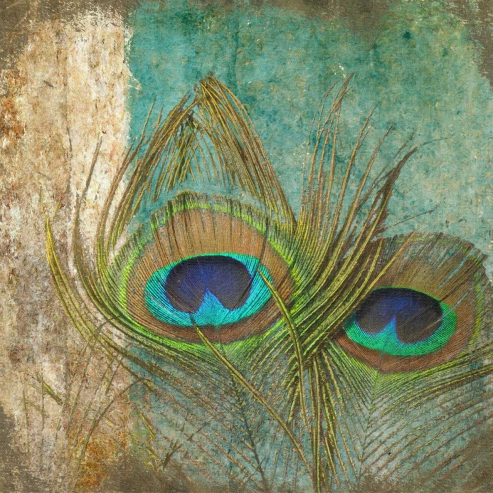 Wall art: Peacock 1, by Greene, Taylor