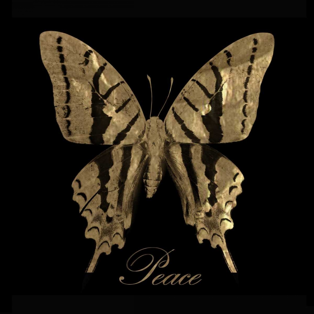 Wall Art Painting id:40271, Name: Peace Gold Butterfly, Artist: Greene, Taylor