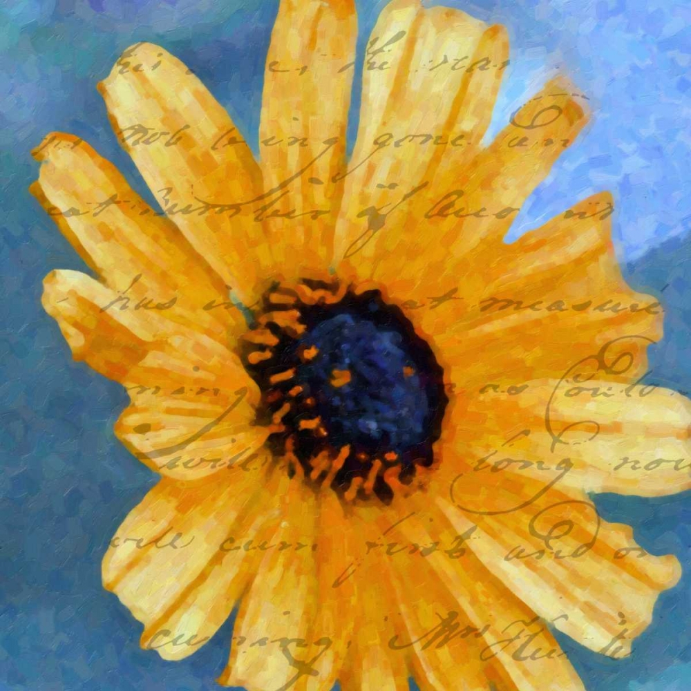 Wall art: SCRIPTED WILD SUNFLOWER I, by Greene, Taylor
