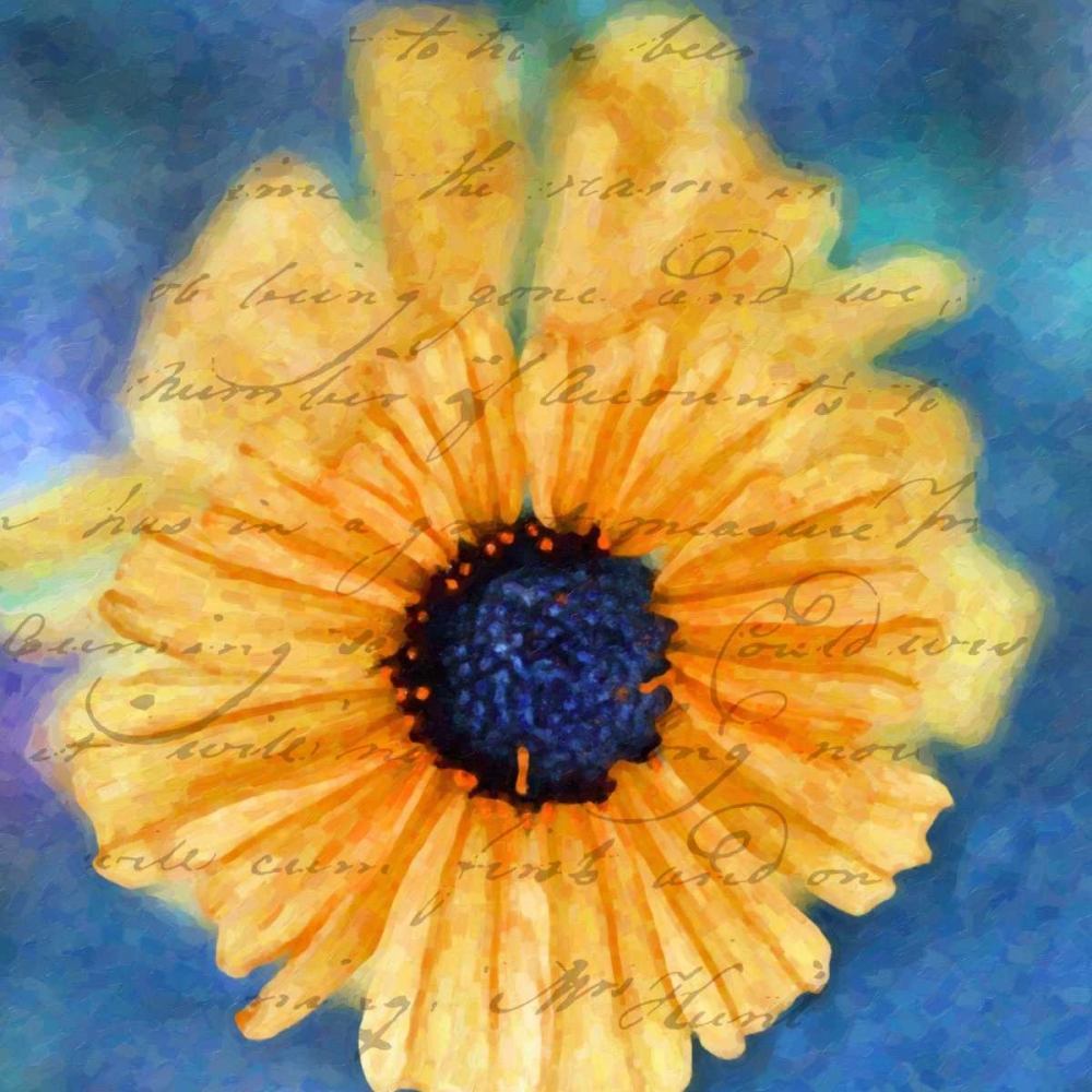 Wall art: SCRIPTED WILD SUNFLOWER II, by Greene, Taylor