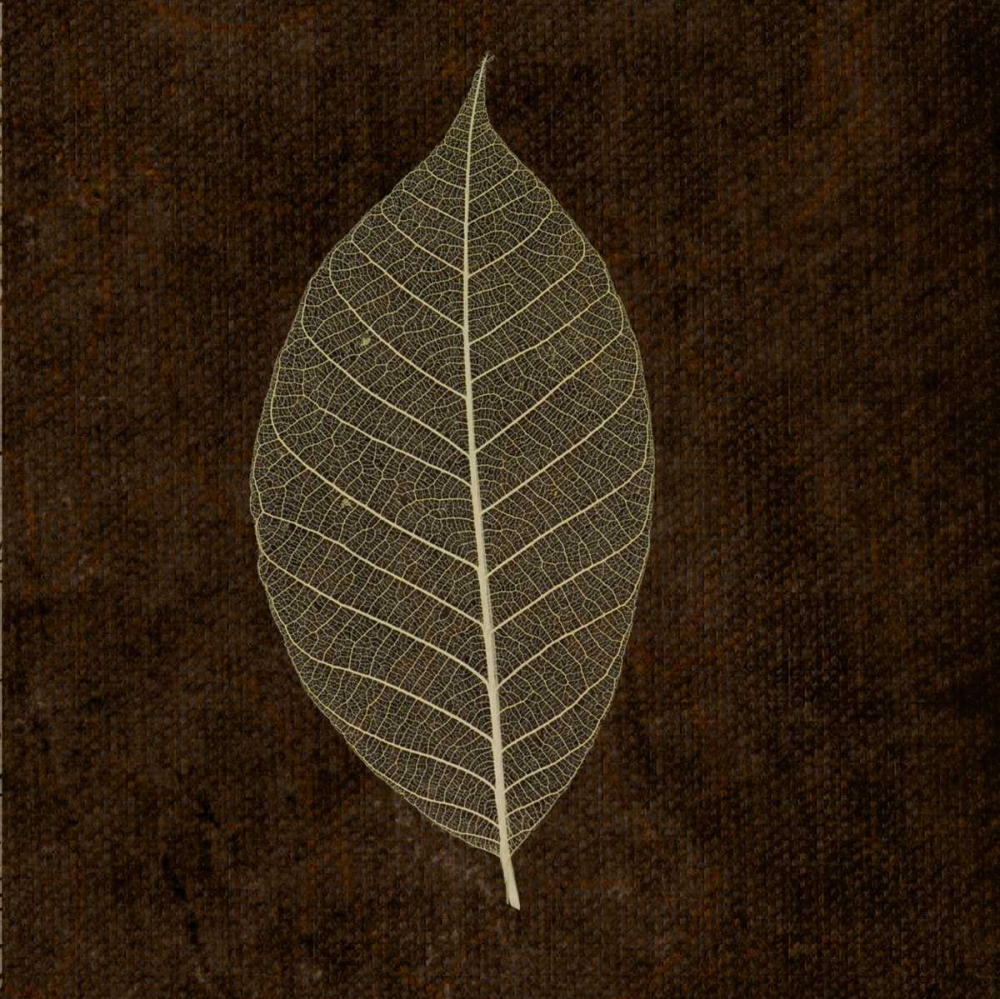 Wall Art Painting id:40337, Name: Spice Gold Leaf, Artist: Greene, Taylor