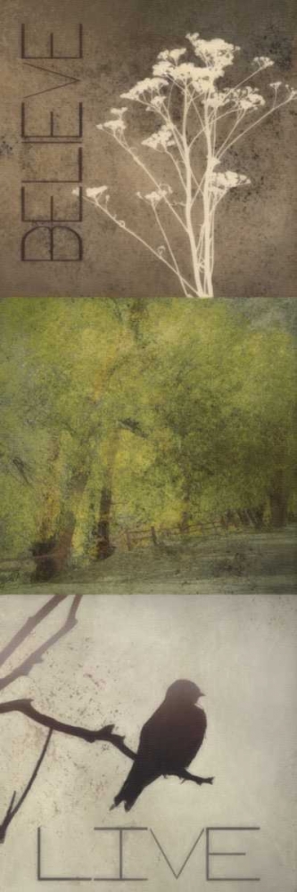 Wall Art Painting id:39267, Name: SIlhouette Beauty  A, Artist: Greene, Taylor