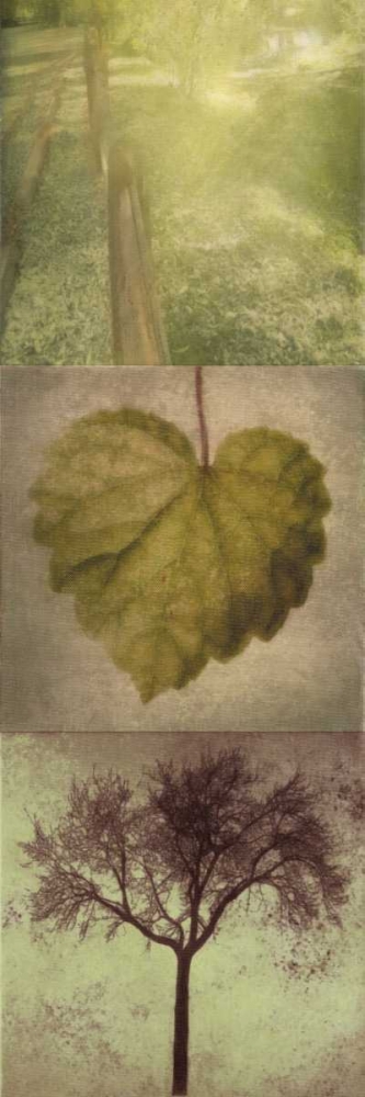 Wall Art Painting id:39268, Name: SILHOUETTE BEAUTY  B, Artist: Greene, Taylor