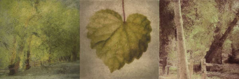 Wall Art Painting id:39271, Name: SILHOUETTE BEAUTY E, Artist: Greene, Taylor