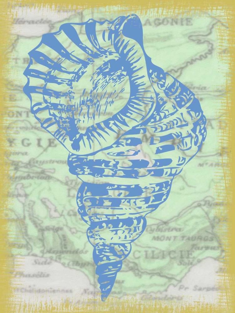 Wall Art Painting id:39284, Name: SHELL, Artist: Greene, Taylor