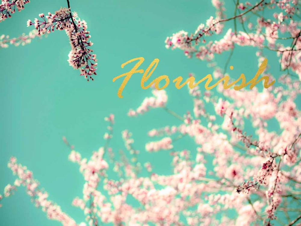 Wall Art Painting id:106994, Name: Flourish Apple Sky, Artist: Telik, Tracey