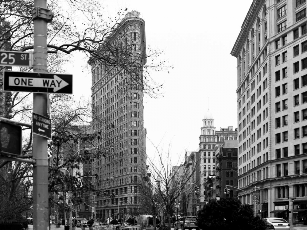 Wall Art Painting id:107004, Name: Flat Iron BW, Artist: Telik, Tracey