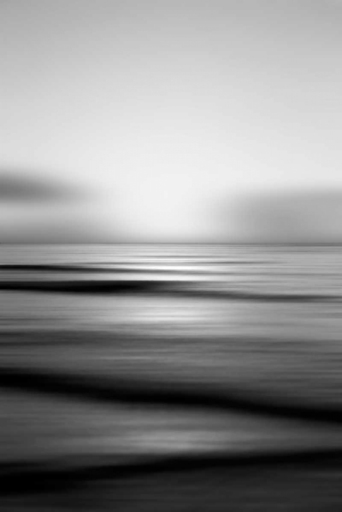 Wall Art Painting id:107013, Name: Tropical Sorbet BW, Artist: Telik, Tracey