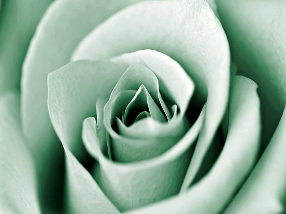 Similar wall art painting: 107019