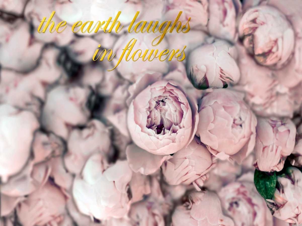 Wall Art Painting id:107035, Name: Laugh Flowers, Artist: Telik, Tracey