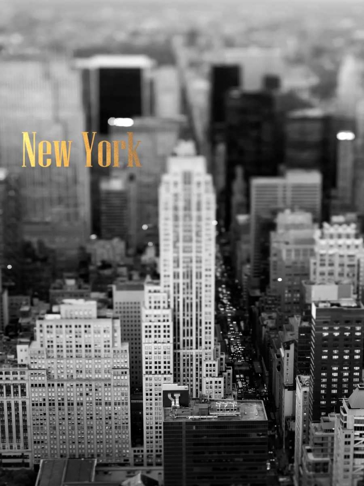 Wall art: Gold NY Fifth Ave, by Telik, Tracey