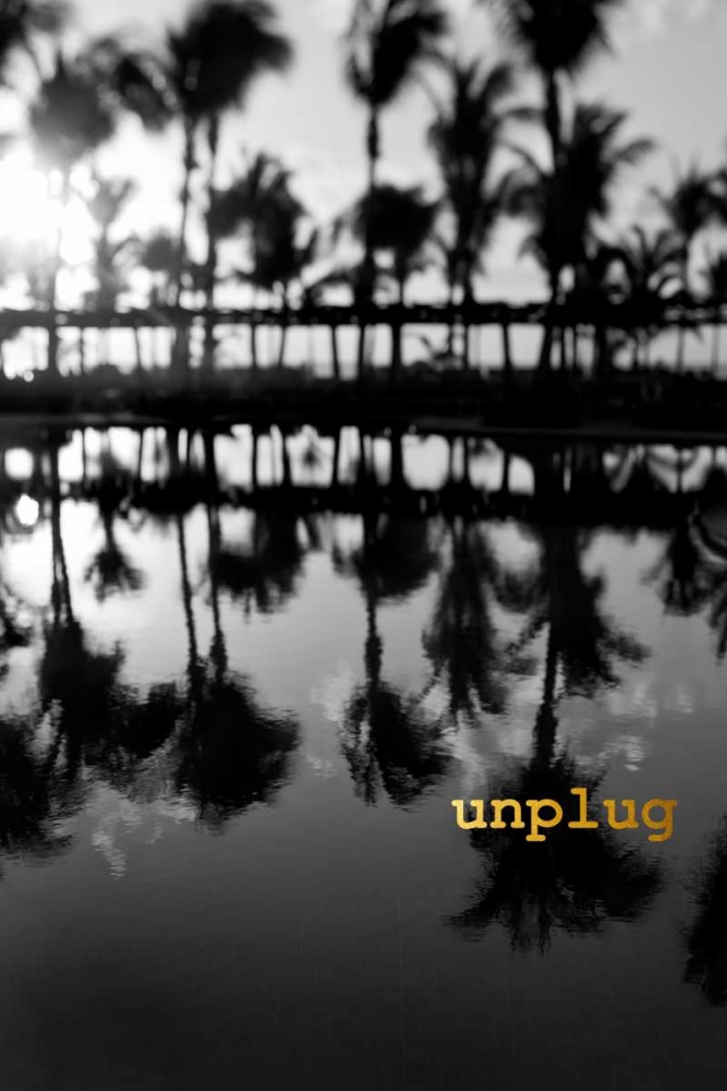 Wall Art Painting id:107045, Name: Palms Unplugged, Artist: Telik, Tracey