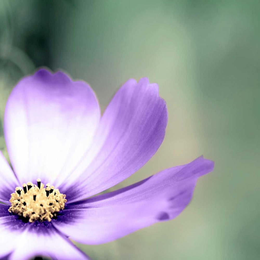 Similar wall art painting: 107052