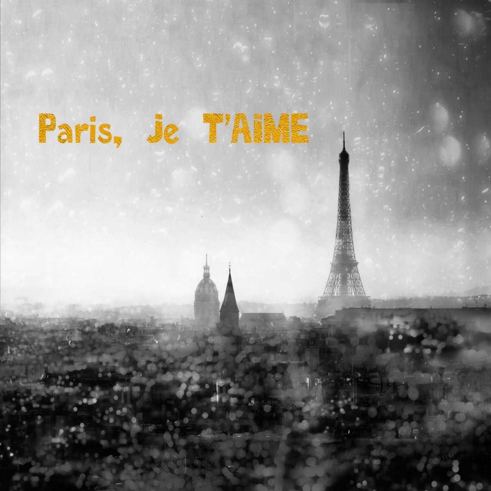 Wall Art Painting id:107054, Name: Paris Je Aime Enlight, Artist: Telik, Tracey