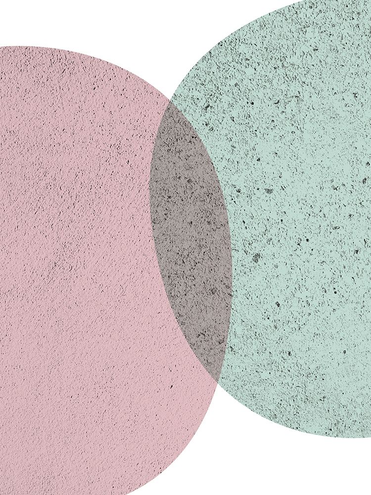 Art Print: MidCentury Ranunculus Tones 6