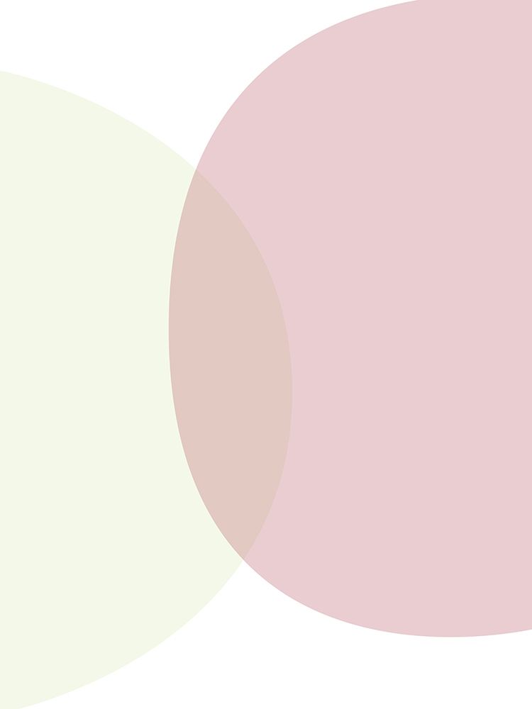 Art Print: MidCentury Ranunculus Tones 8