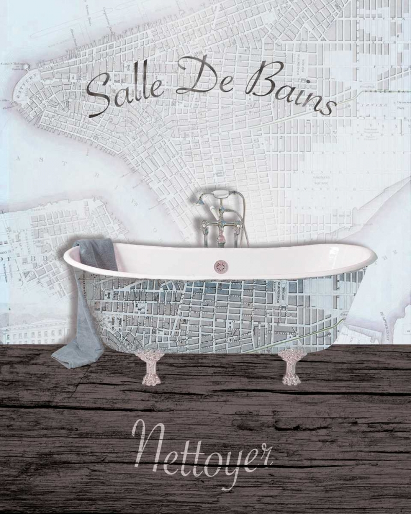 Wall Art Painting id:152956, Name: Mapped Bath 2, Artist: Brown, Victoria