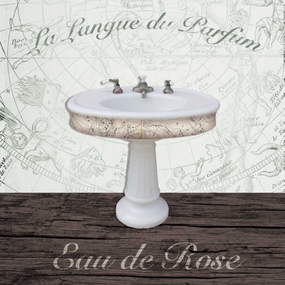 Wall Art Painting id:139681, Name: Mapped Bath Sink, Artist: Brown, Victoria