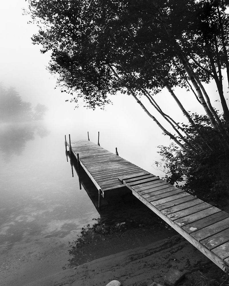 Wall Art Painting id:244405, Name: Foggy Dock BW 2, Artist: Foschino, Suzanne