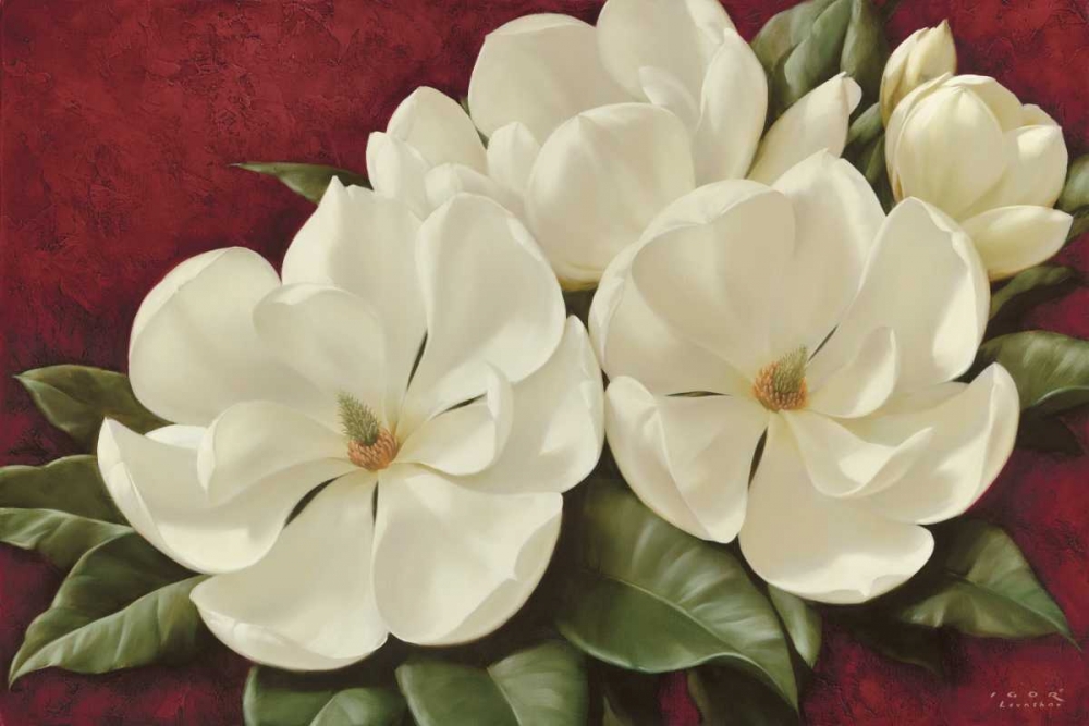 Wall Art Painting id:21185, Name: Magnolia II, Artist: Levashov, Igor