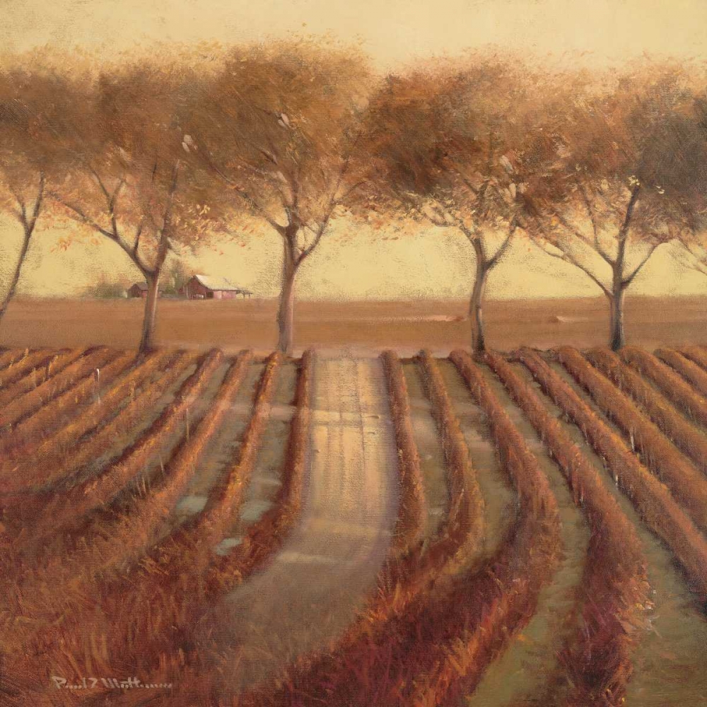 Art Print: Vintage Sunlit Vineyard