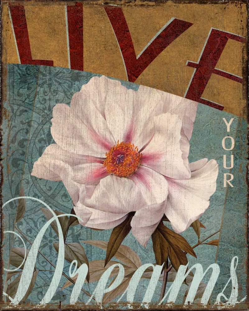 Wall Art Painting id:21218, Name: Live Your Dreams, Artist: Donovan, Kelly
