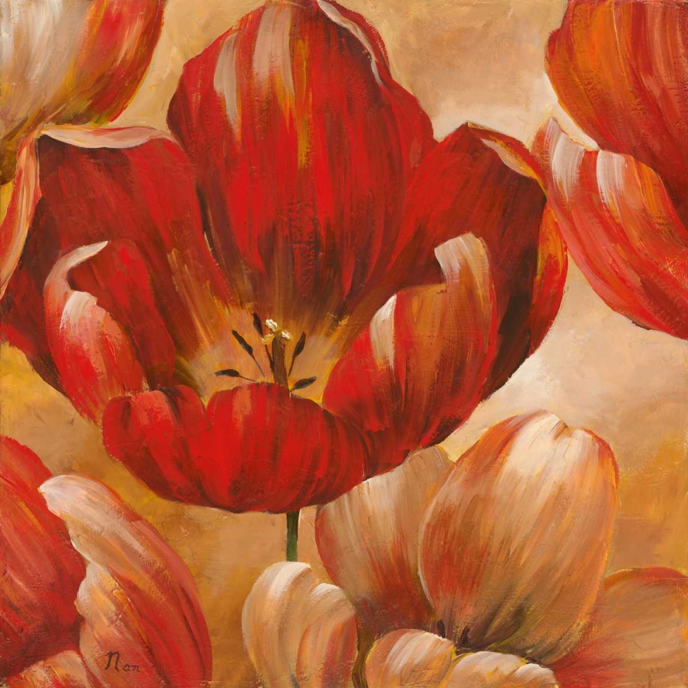 Wall Art Painting id:21314, Name: Sunlit Bloom I, Artist: Nan