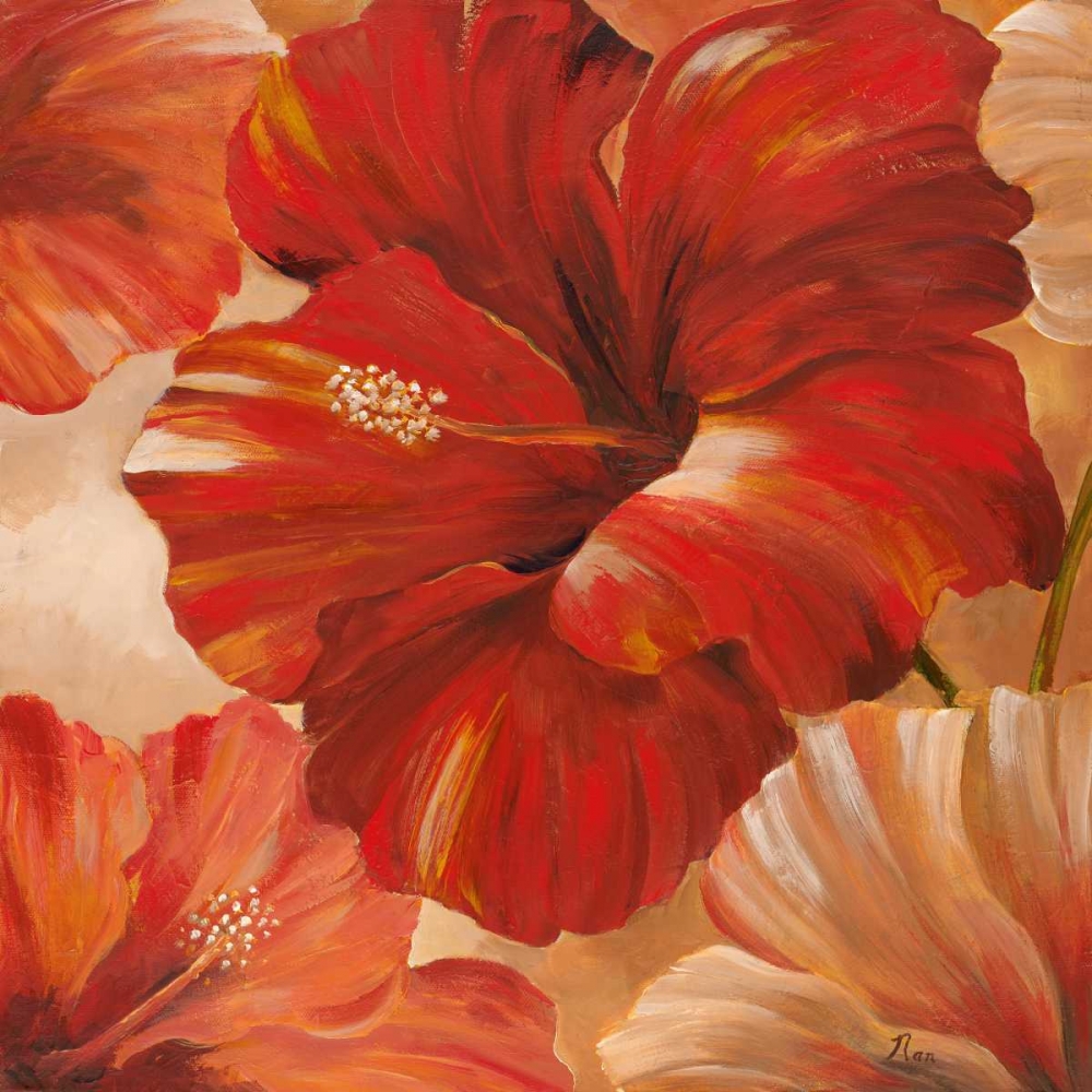 Wall Art Painting id:21315, Name: Sunlit Bloom II, Artist: Nan