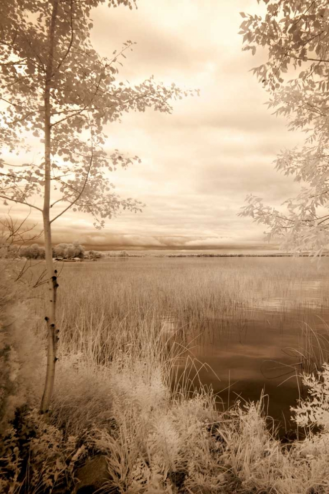 Art Print: Peaceful Morning I