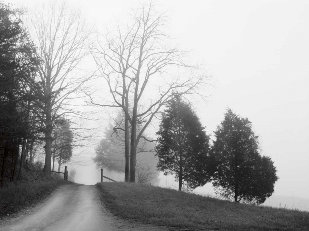 Art Print: Tennessee Morning