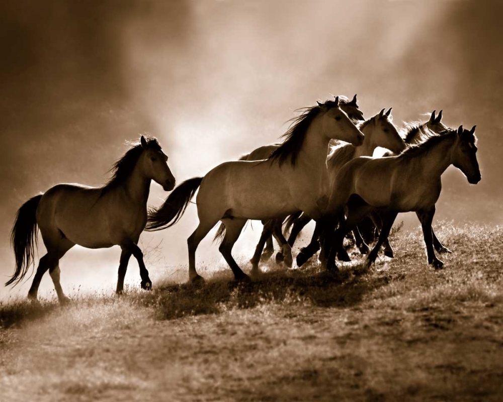 Wall Art Painting id:55519, Name: Wild Horses, Artist: Dearing, Lisa