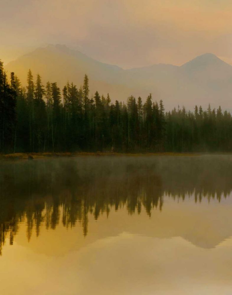 Wall Art Painting id:7966, Name: Twilight Reflection I, Artist: Delimont, Danita