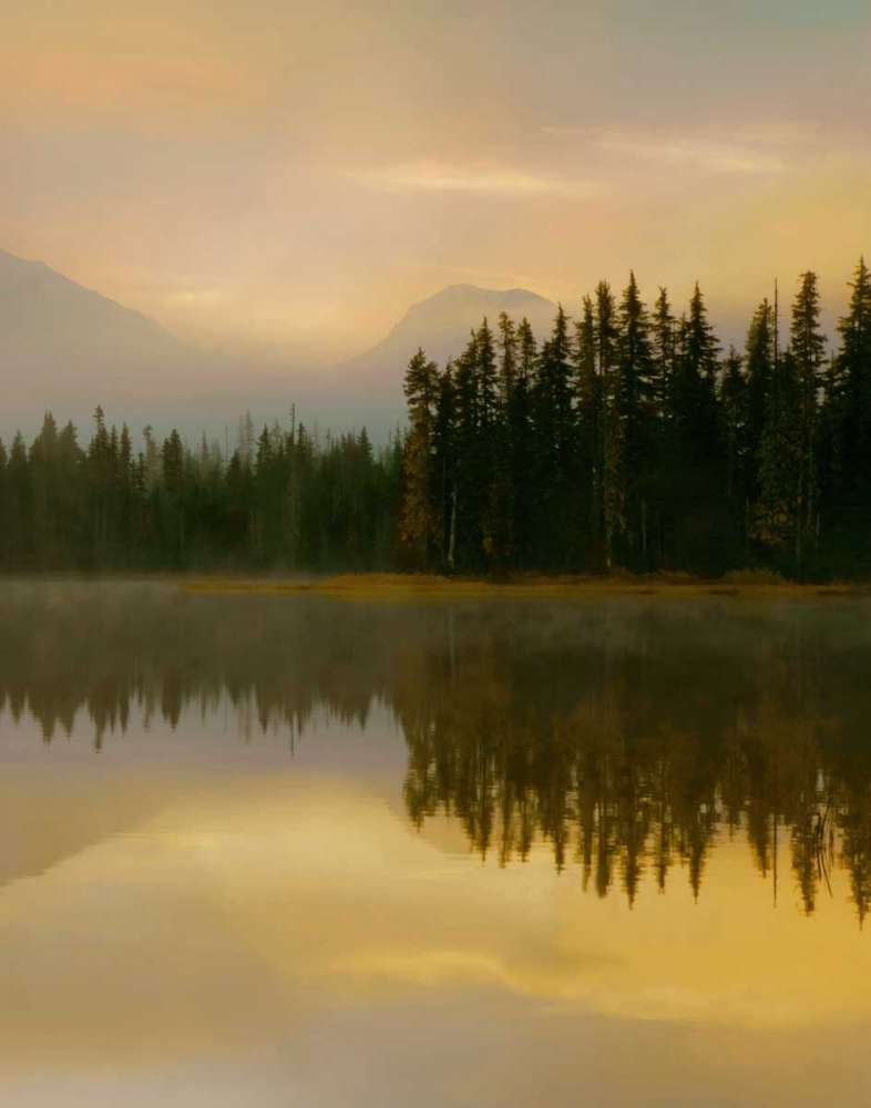 Wall Art Painting id:7967, Name: Twilight Reflection II, Artist: Delimont, Danita