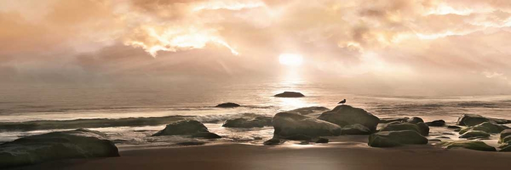 Art Print: Best Seat In