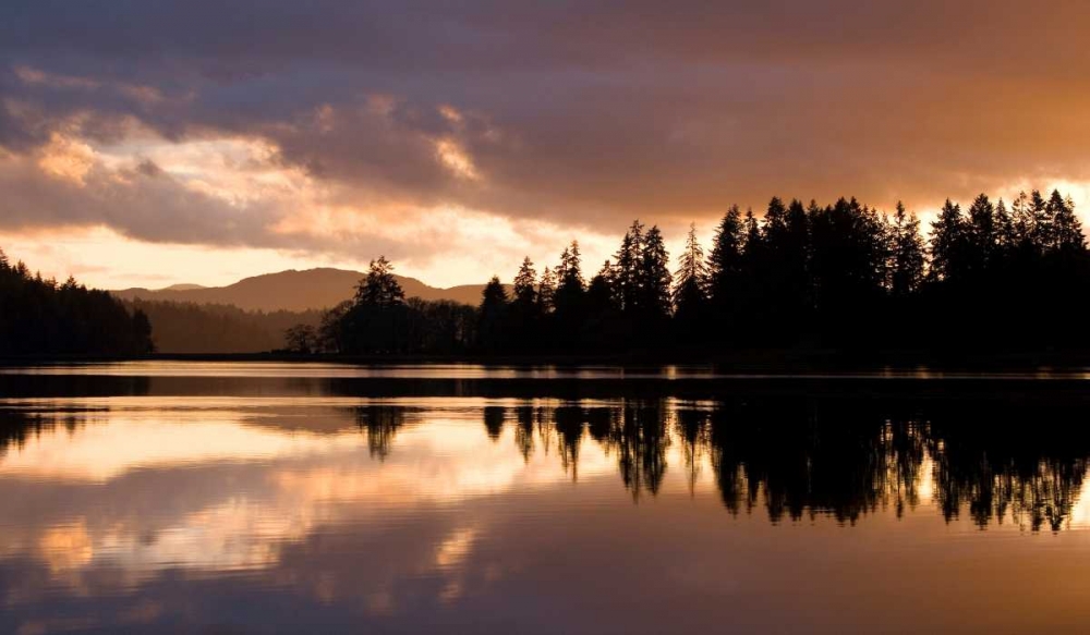 Wall Art Painting id:21511, Name: Hammersley Inlet, Artist: Delimont, Danita